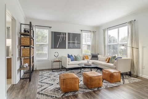 a living room with a couch and chairs and a rug